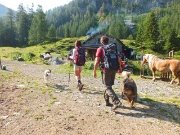 L'ALPE TERZERA E IL MONTE CAVALLO con giro ad anello il 14 luglio 2013 - FOTOGALLERY